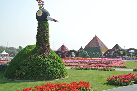 Tour image 5