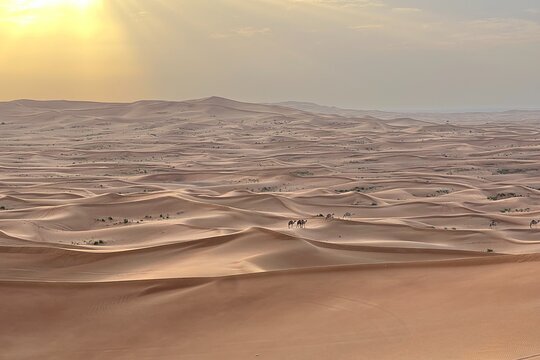 Tour image 6